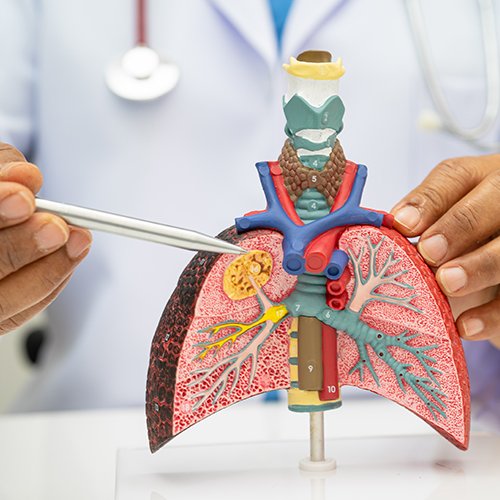 social2 Home Social Image 2