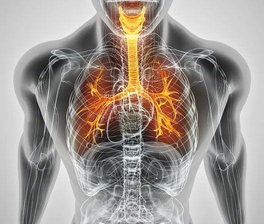 patient centred1 About Us