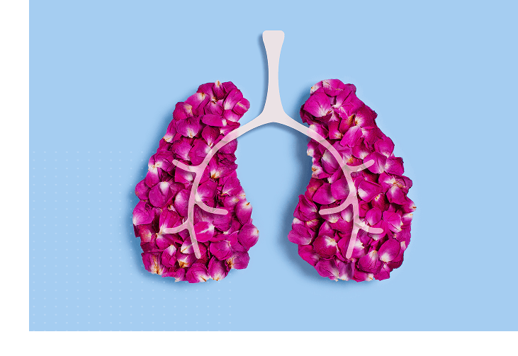 respiratory medicine1 Services